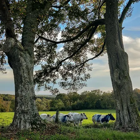 De Trussogne Ferienhaus
