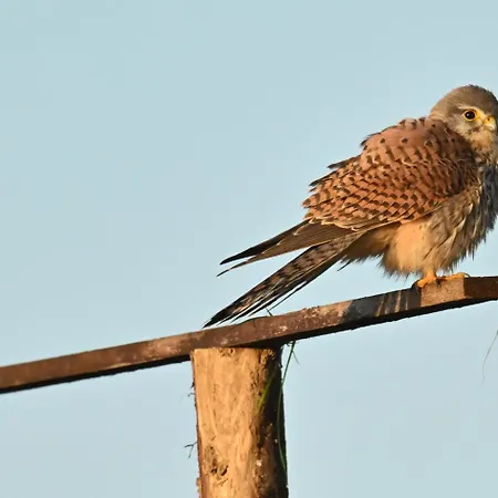 Holiday home De Trussogne