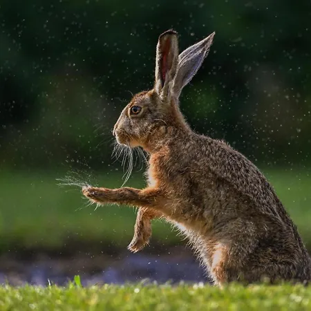 De Trussogne Ferienhaus