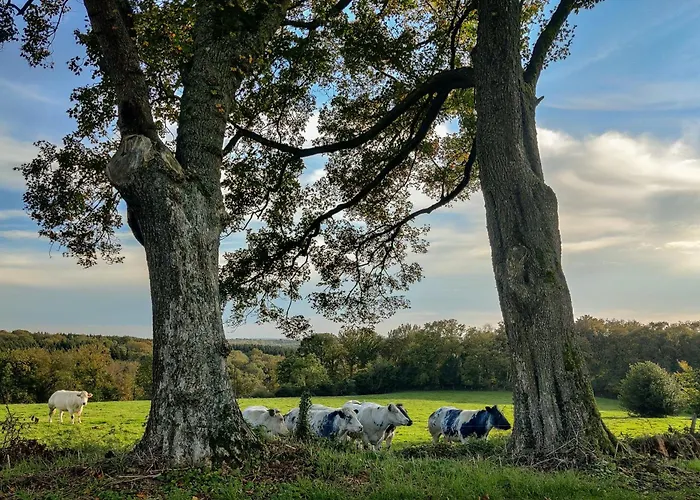 De Trussogne Hébergement de vacances