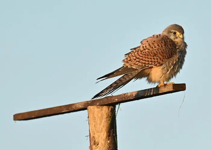 Hébergement de vacances De Trussogne