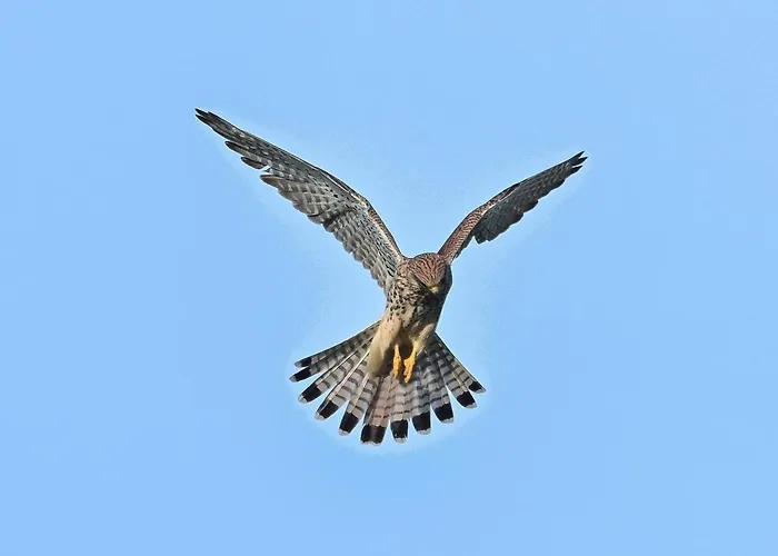 De Trussogne * Houyet